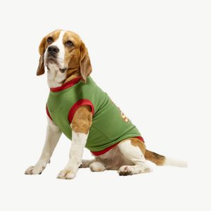 Dog jersey