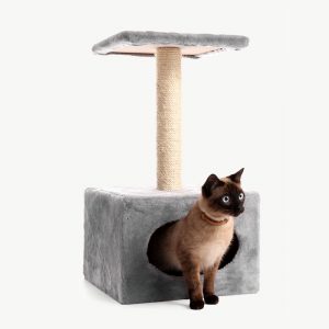 Cat play house